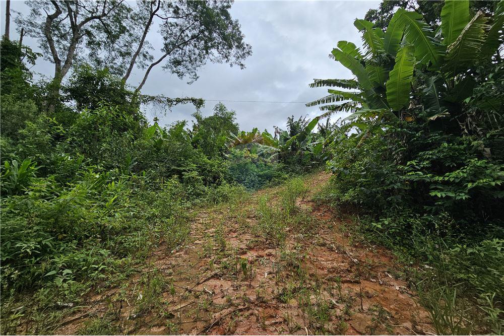 Terreno - Venda - Nova Friburgo , Rio de Janeiro - 37 - 630551016-143