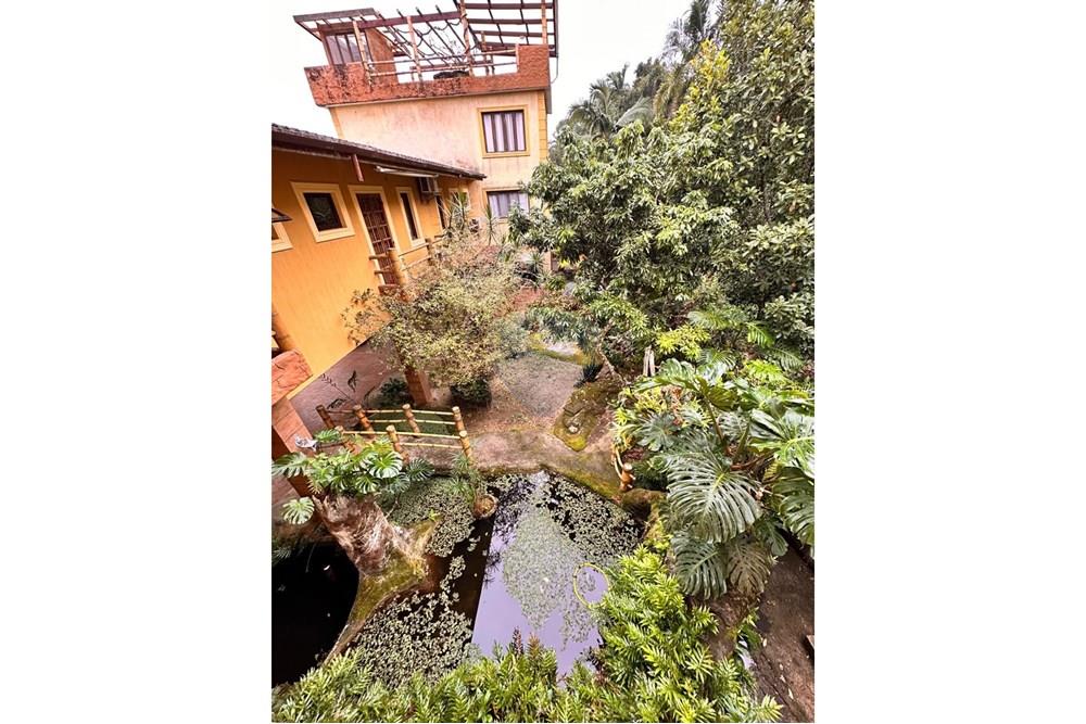 Casa - Venda - Bertioga , São Paulo - jardim casa japonesa.jpg - 631461044-135