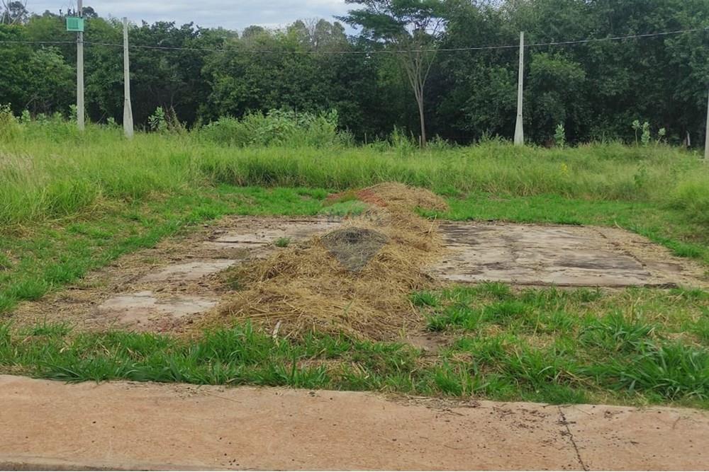 Terreno - Venda - Andradina , São Paulo - WhatsApp Image 2025-03-31 at 10.14.12 (2).jpeg - 631201044-130