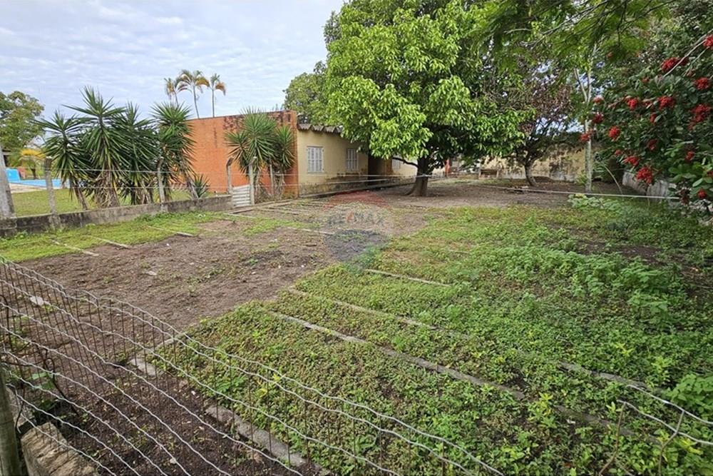 Chácara / Sítio / Fazenda - Venda - Araruama , Rio de Janeiro - Horta e frutiferas.JPG - 631591007-11