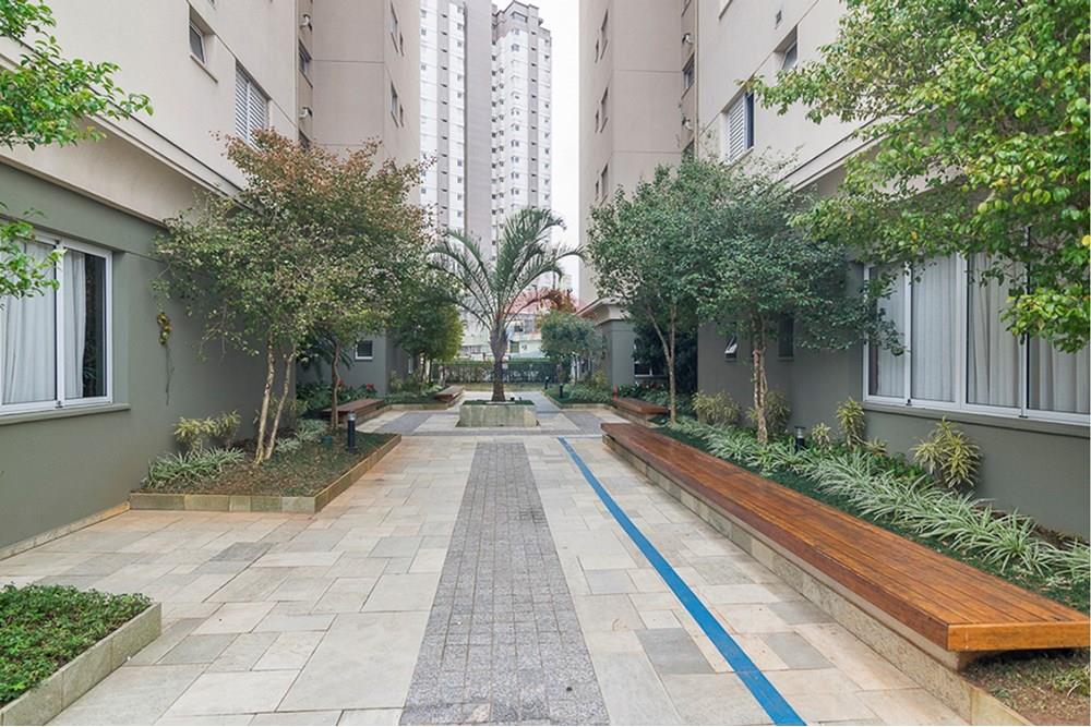 Apartamento - Alugar - Santo André , São Paulo - _DSC0123.jpg - 631341001-249