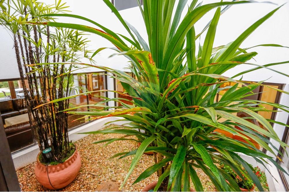 Casa de Condomínio - Venda - Sorocaba , São Paulo - _MG_7399.jpg - 630601044-35