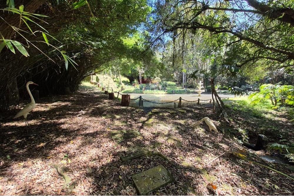 Chácara / Sítio / Fazenda - Venda - Ibiúna , São Paulo - 50.jpeg - 631331004-49