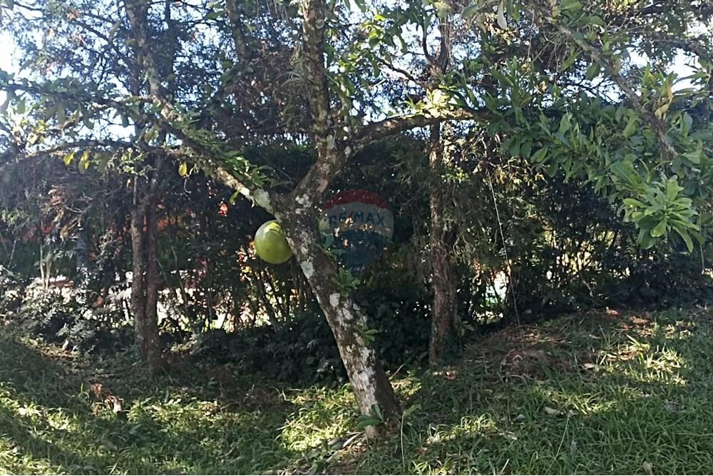 Casa de Condomínio - Venda - Santa Isabel , São Paulo - IMG-20250709-WA0096 - Copia.jpg - 631491029-6