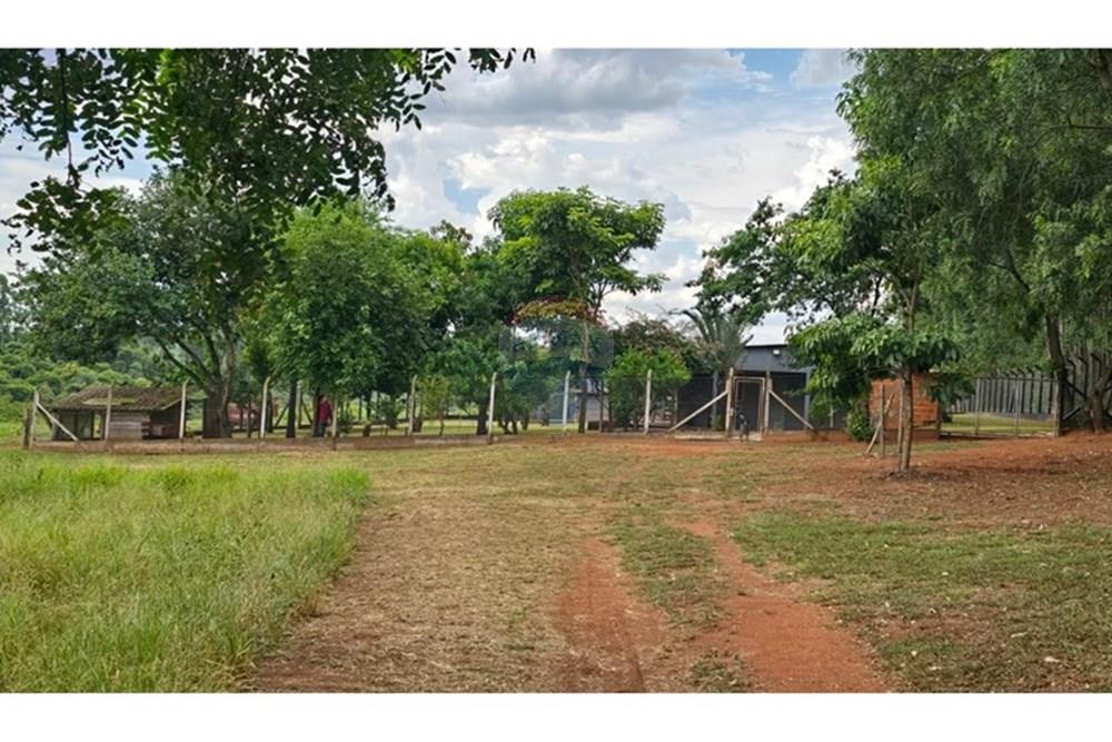 Agro - Venda - Regente Feijó , São Paulo - Imagem do WhatsApp de 2025-04-22 à(s) 18.56.34_171d7e18.jpg - 630091016-183