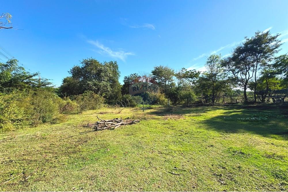 Chácara / Sítio / Fazenda - Venda - Araçatuba , São Paulo - 20250604_124218610_iOS.jpg - 630541038-46