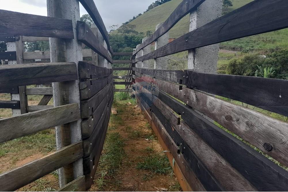 Agro - Venda - Santa Maria Madalena , Rio de Janeiro - WhatsApp Image 2025-05-29 at 13.32.53.jpeg - 630171007-50