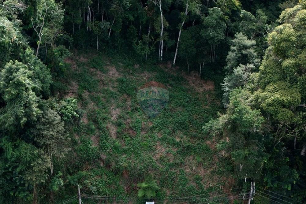 Terreno - Venda - Nova Friburgo , Rio de Janeiro - DJI_20250423112337_0194_D.jpg - 630551049-25