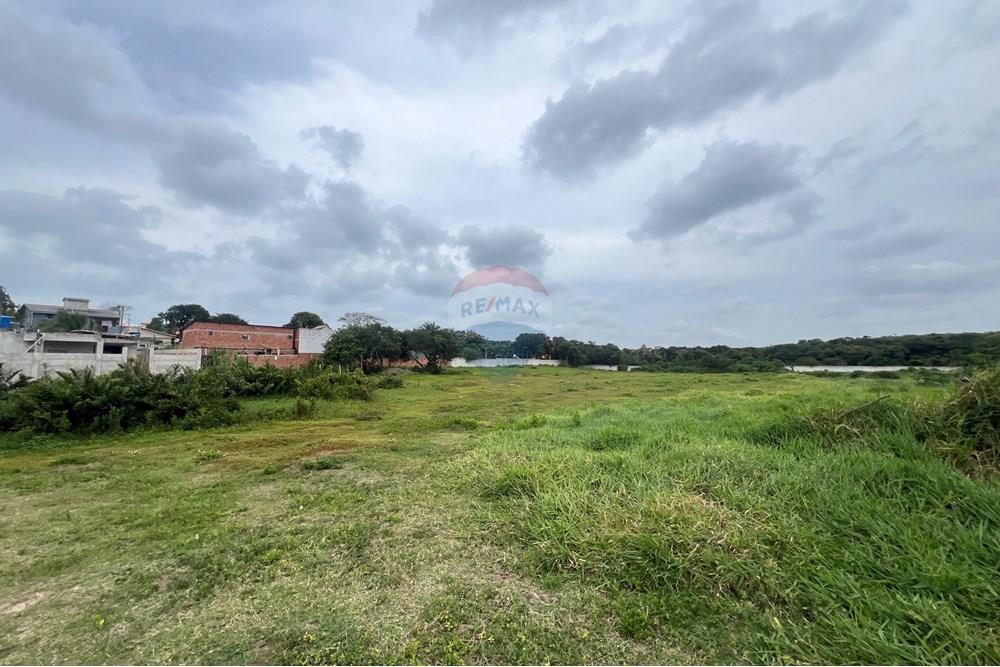Terreno - Venda - Armação dos Búzios , Rio de Janeiro - IMG_4431.JPG - 630391039-93