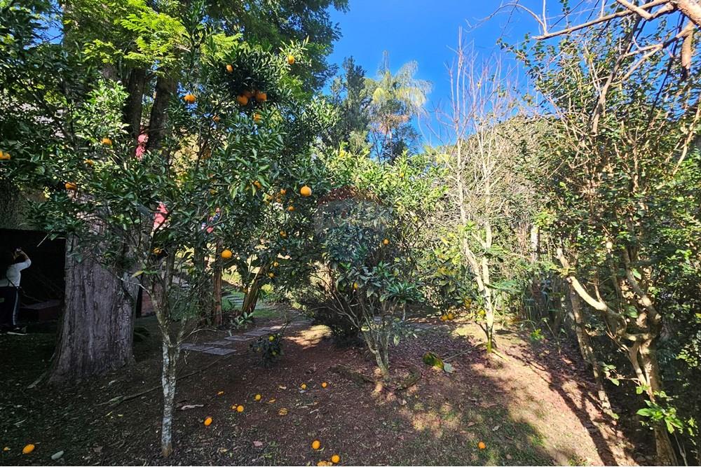 Casa - Venda - Nova Friburgo , Rio de Janeiro - 20250627_150049.jpg - 630551016-144