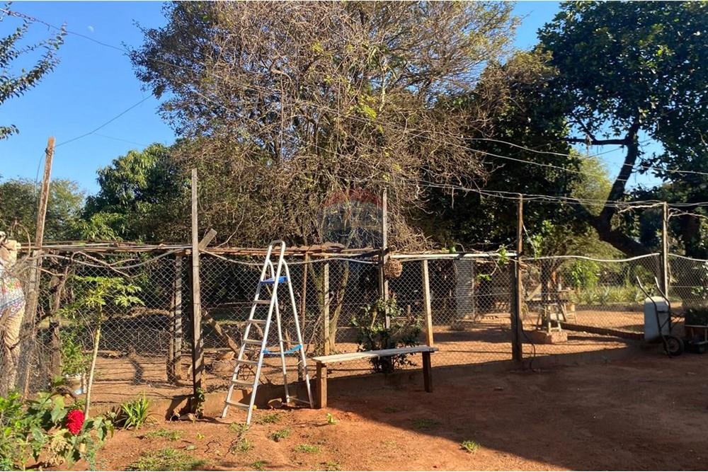 Chácara / Sítio / Fazenda - Venda - Lins , São Paulo - WhatsApp Image 2025-08-12 at 20.28.54 (1).jpeg - 631011037-40