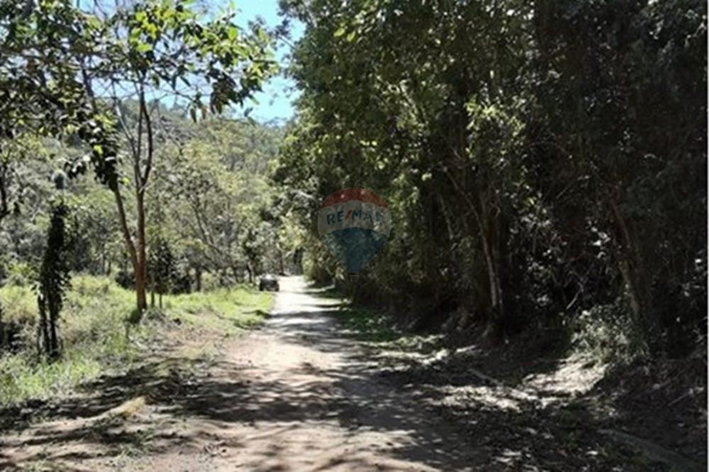 Terreno - Venda - Mairiporã , São Paulo - WhatsApp Image 2025-08-22 at 23.56.07 (1).jpeg - 631361025-40