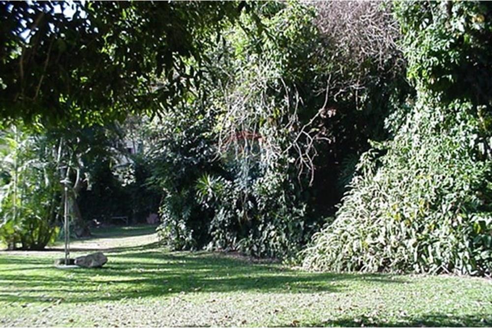 Terreno - Venda - São Sebastião , São Paulo - MVC-916F.JPG - 631461059-26