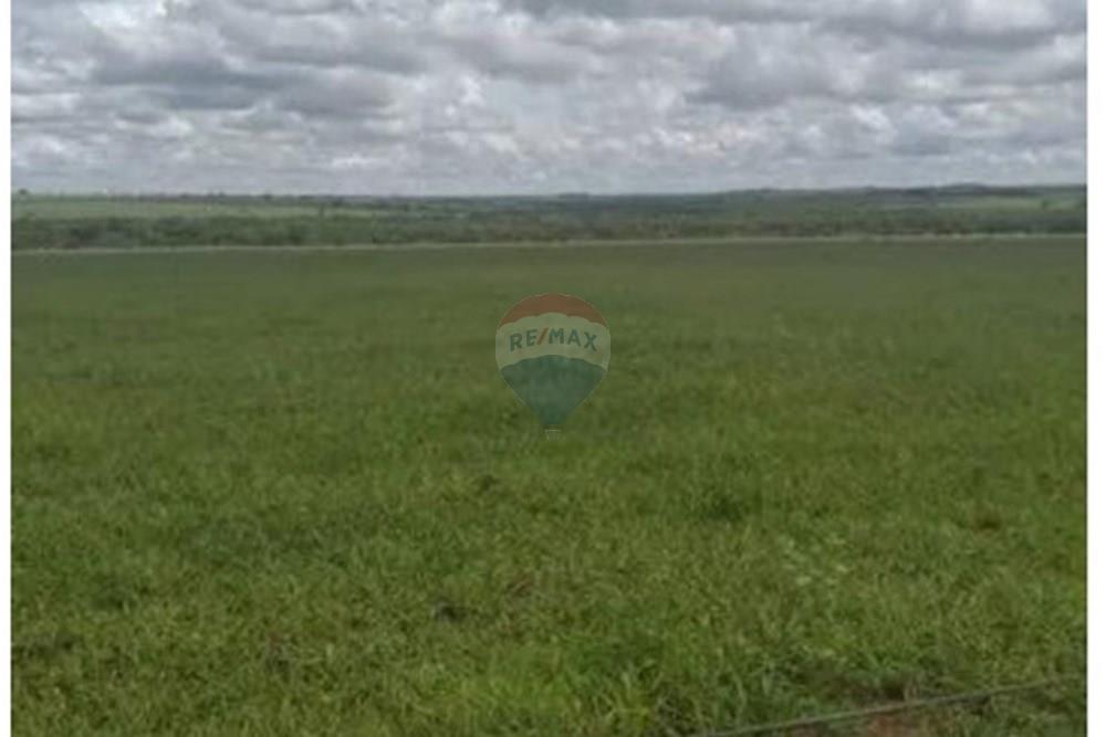 Chácara / Sítio / Fazenda - Venda - Junqueirópolis , São Paulo - WhatsApp Image 2024-10-26 at 10.20.04 (5).jpeg - 630541038-36