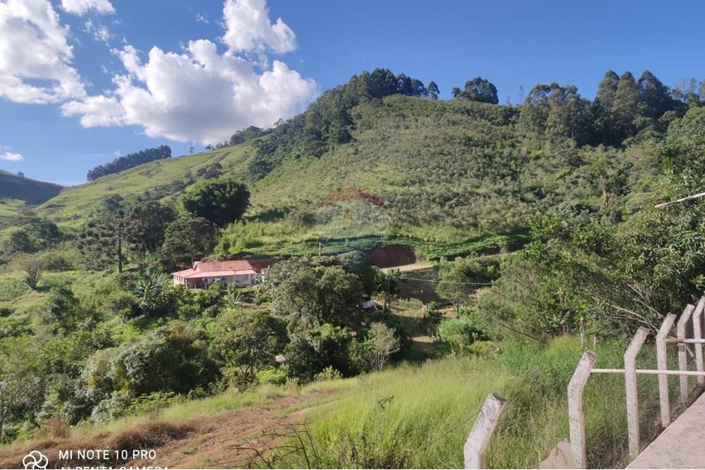 Chácara / Sítio / Fazenda - Venda - Toledo , Minas Gerais - WhatsApp Image 2025-02-28 at 11.28.04.jpeg - 630251077-54
