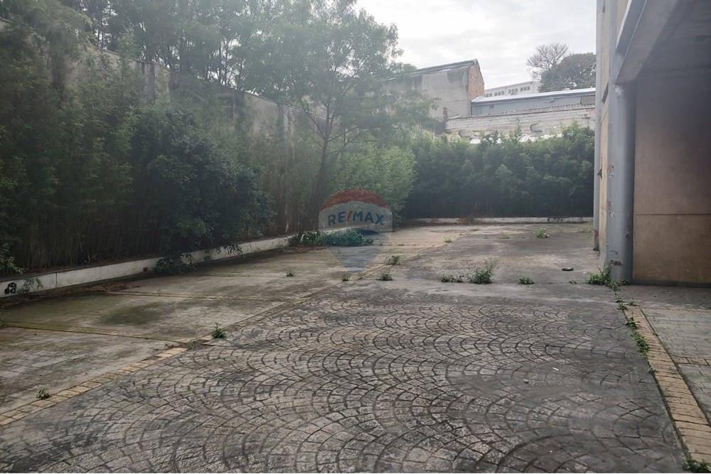 Prédio - Alugar - São Paulo , São Paulo - exclusive (14).jpeg - 630821068-22