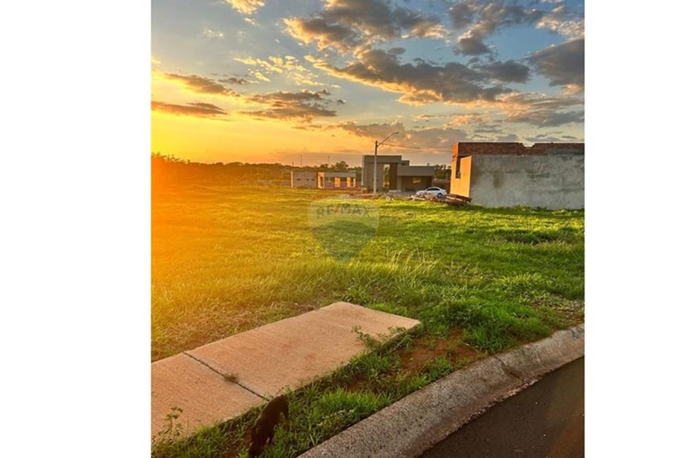 Terreno - Venda - Araçatuba , São Paulo - WhatsApp Image 2024-11-18 at 11.19.39.jpeg - 630541038-21