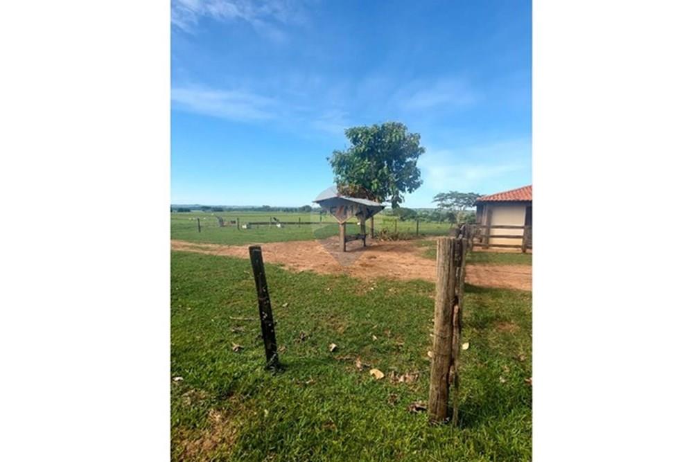 Chácara / Sítio / Fazenda - Venda - Araçatuba , São Paulo - WhatsApp Image 2024-10-29 at 14.36.54 (1).jpeg - 630541038-37