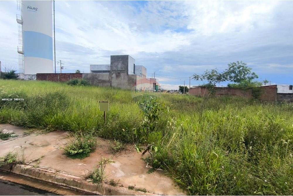 Terreno - Venda - Andradina , São Paulo - WhatsApp Image 2025-04-10 at 16.00.30.jpeg - 631201029-40