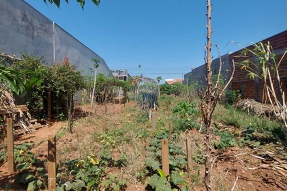 Terreno - Venda - Presidente Prudente , São Paulo - WhatsApp Image 2025-10-02 at 13.02.25 (1).jpeg - 630861066-4