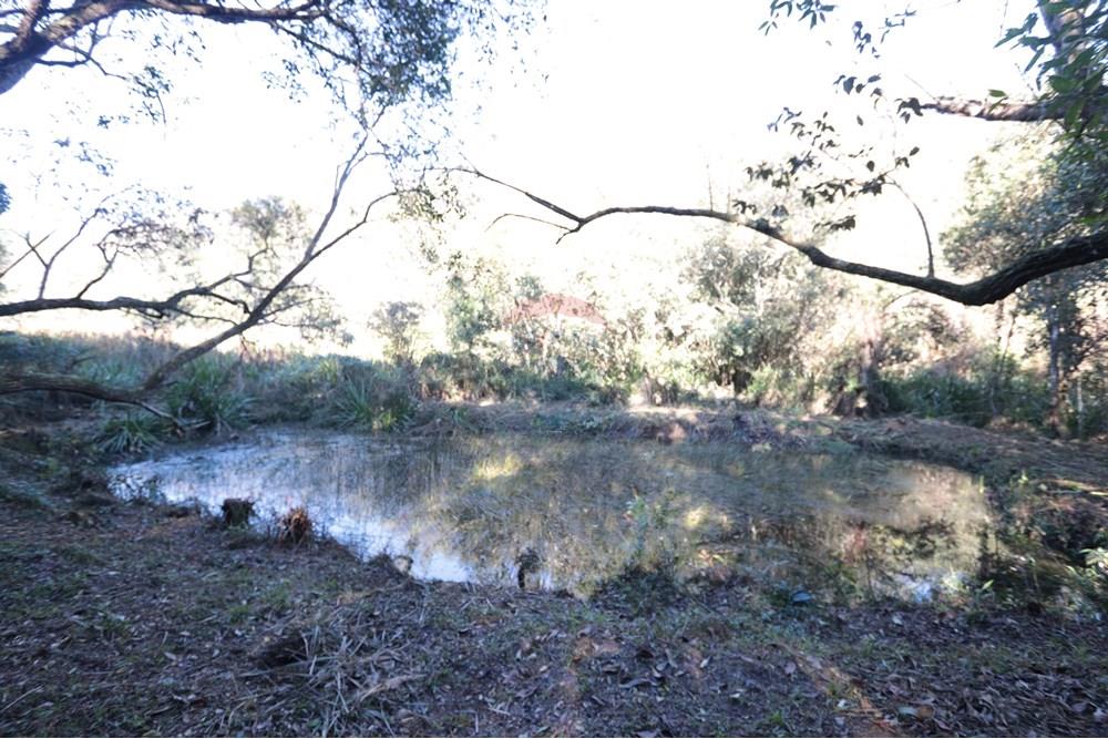 Casa de Campo - Venda - São Roque , São Paulo - IMG_4127.JPG - 631601009-26