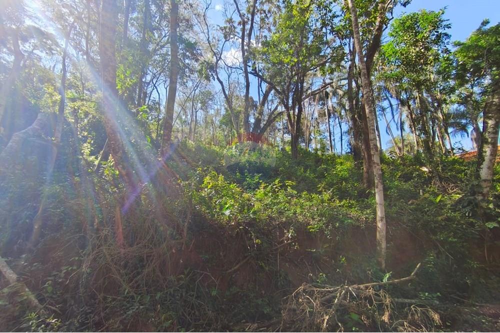 Terreno - Venda - Mairiporã , São Paulo - Terreno rafael 8.jpg - 631361069-8