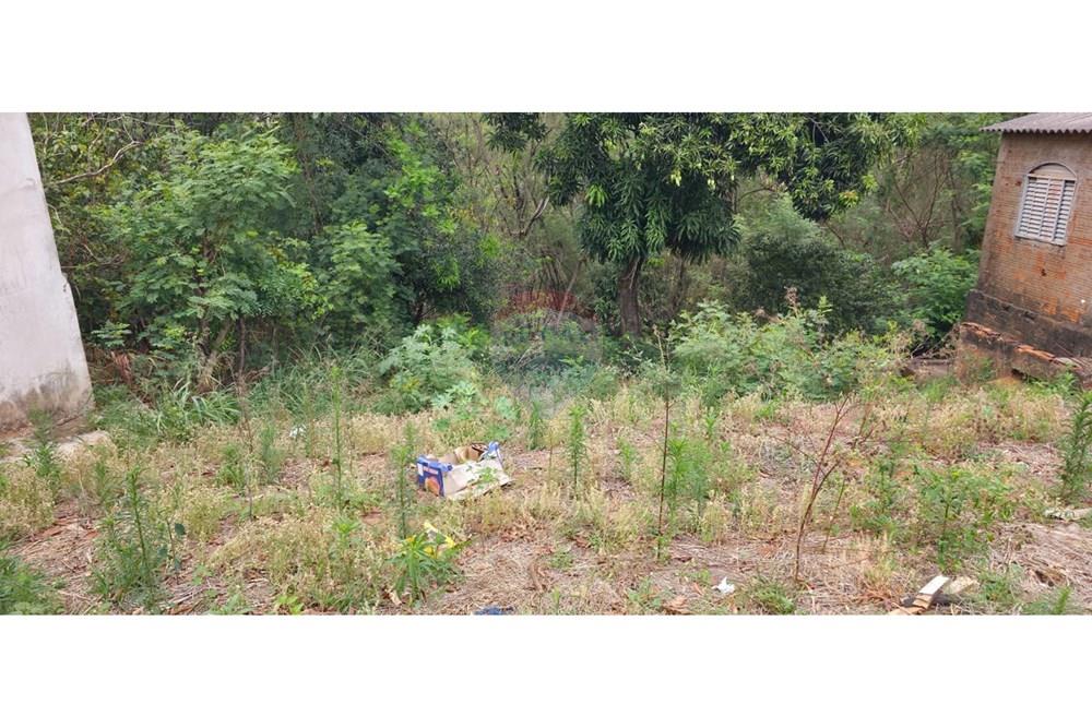 Terreno - Venda - Presidente Prudente , São Paulo - WhatsApp Image 2025-10-07 at 14.55.39 (1).jpeg - 630861052-56