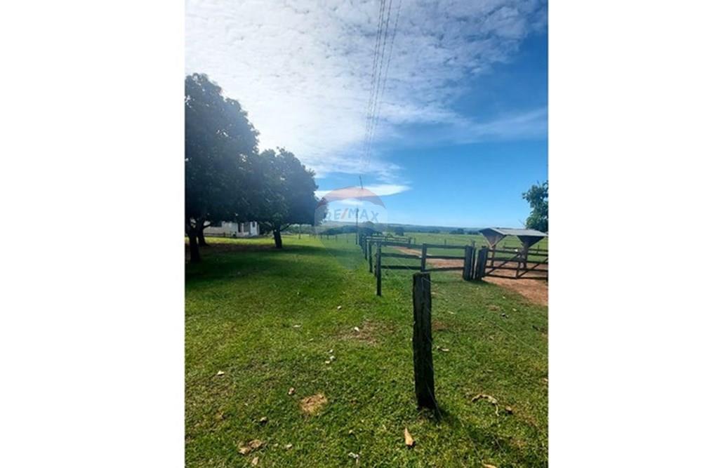 Chácara / Sítio / Fazenda - Venda - Araçatuba , São Paulo - WhatsApp Image 2024-10-29 at 14.36.54.jpeg - 630541038-37