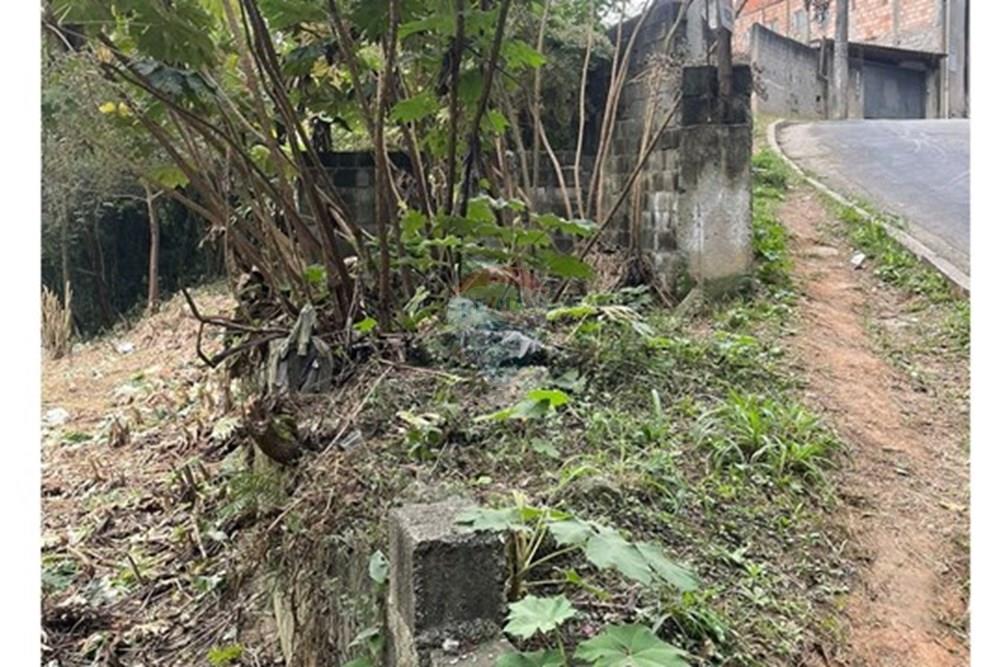 Terreno - Venda - Mairiporã , São Paulo - 896619ca-53b1-431d-abc0-f34170994d04.jpeg - 631361059-9