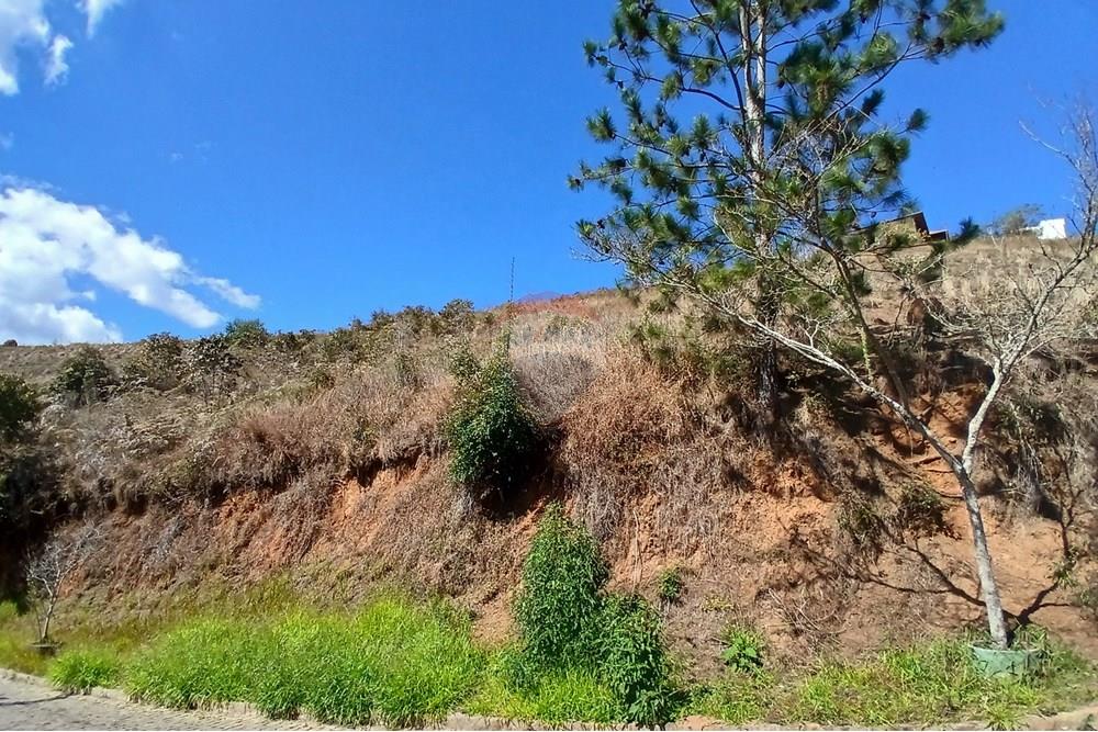 Terreno - Venda - Nova Friburgo , Rio de Janeiro - 20250814_104720.jpg - 630551084-22