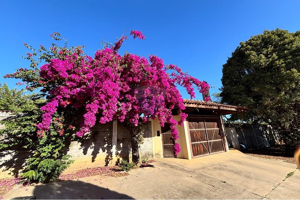 Chácara / Sítio / Fazenda - Venda - Araçoiaba da Serra , São Paulo - IMG_5218.jpeg - 630591061-143