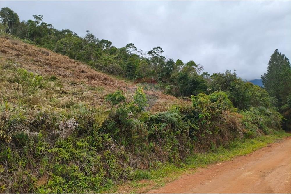 Terreno - Venda - Teresópolis , Rio de Janeiro - IMG-20250613-WA0018.jpg - 630191078-39