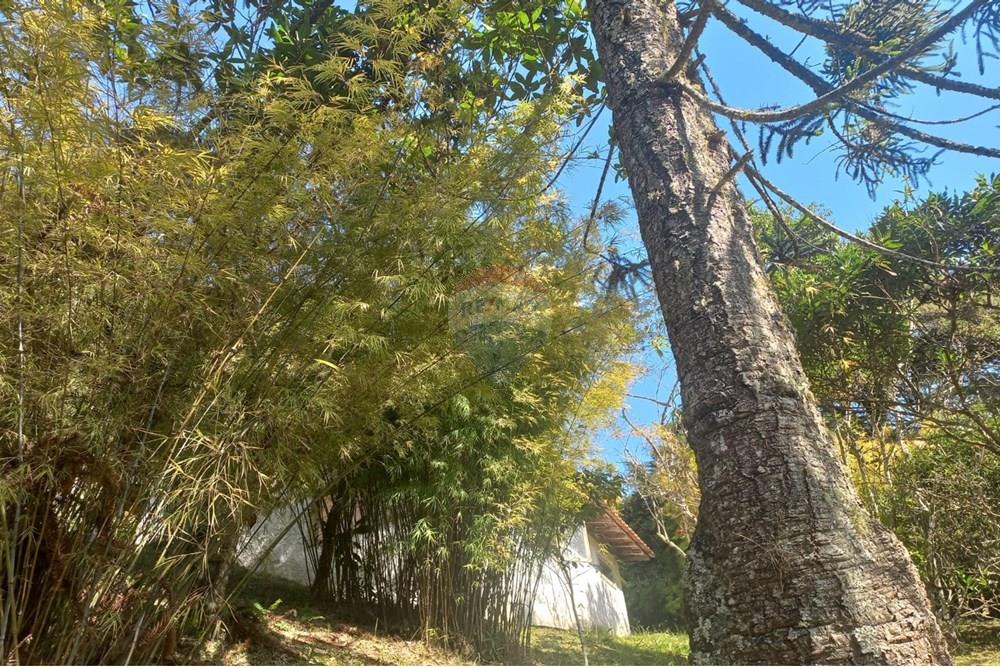 Chácara / Sítio / Fazenda - Venda - Nova Friburgo , Rio de Janeiro - WhatsApp Image 2025-07-21 at 11.11.07 (2).jpeg - 630551037-31