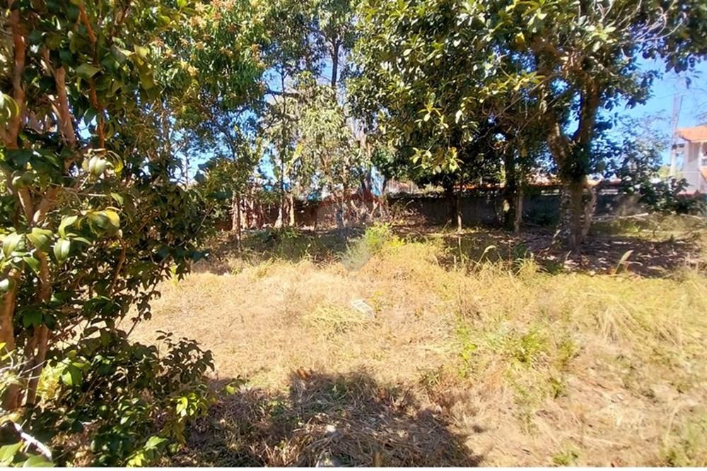 Terreno - Venda - São José dos Campos , São Paulo - 20250801_113147.jpg - 631501022-8