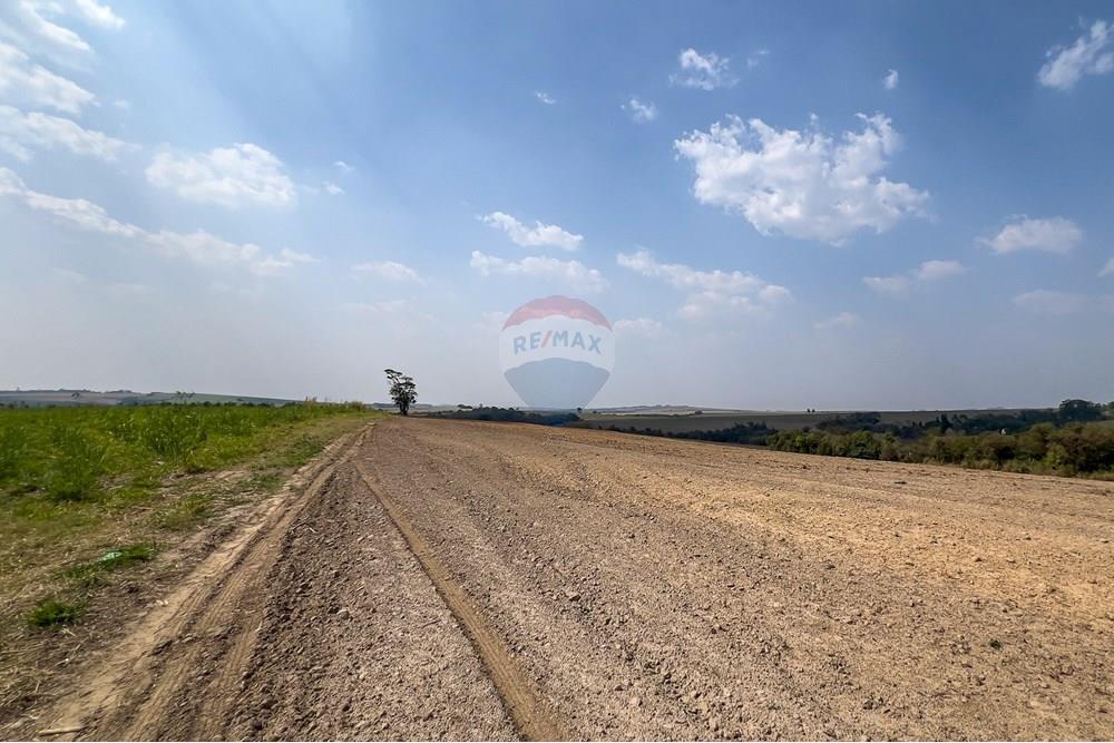 Terreno - Venda - Boituva , São Paulo - IMG_3601_DNG.jpg - 630601137-102