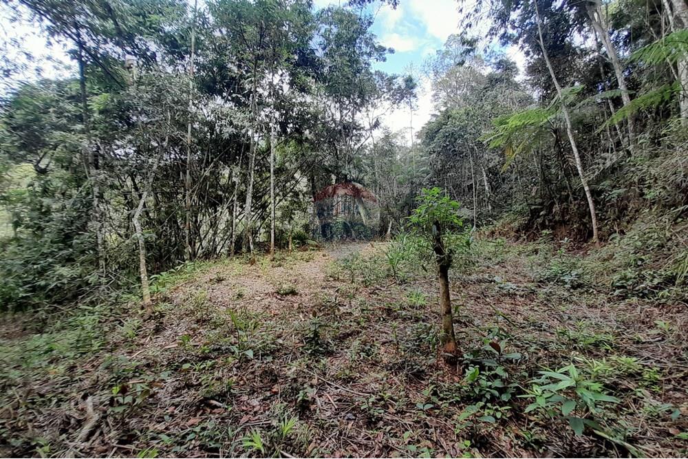 Terreno - Venda - Teresópolis , Rio de Janeiro - 20251012_092433.jpg - 630191084-20