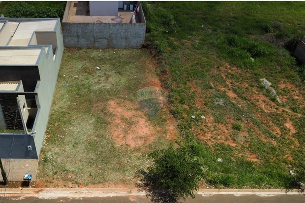 Terreno - Venda - Cedral , São Paulo - dji_fly_20241111_132358_34_1731342247755_photo_optimized - Copia.jpg - 631481001-5