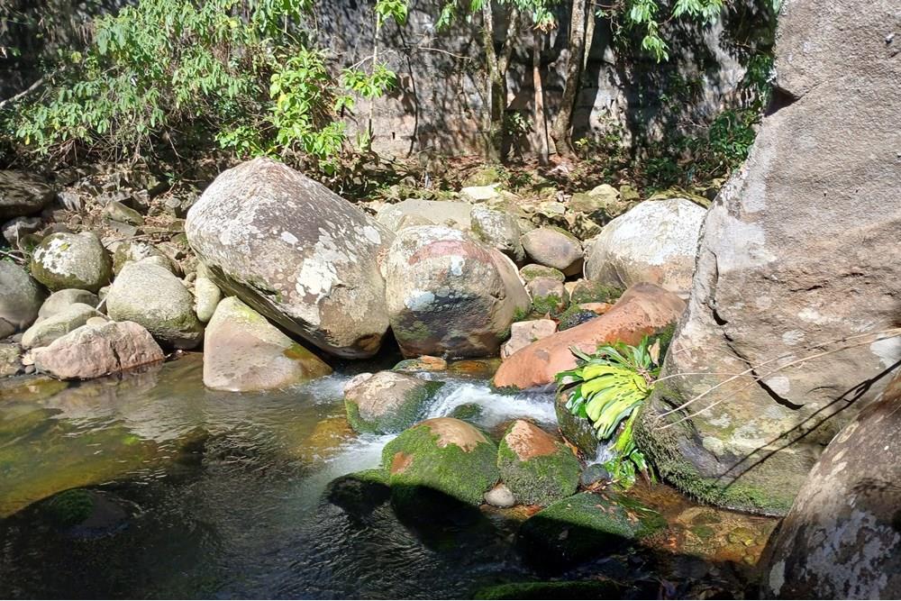 Casa de Condomínio - Venda - Nova Friburgo , Rio de Janeiro - 20250630_110020.jpg - 630551084-15