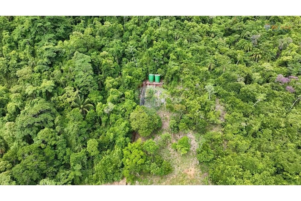 Terreno - Venda - Ilhabela , São Paulo - Fotos Lote jade.jpg - 630951006-33