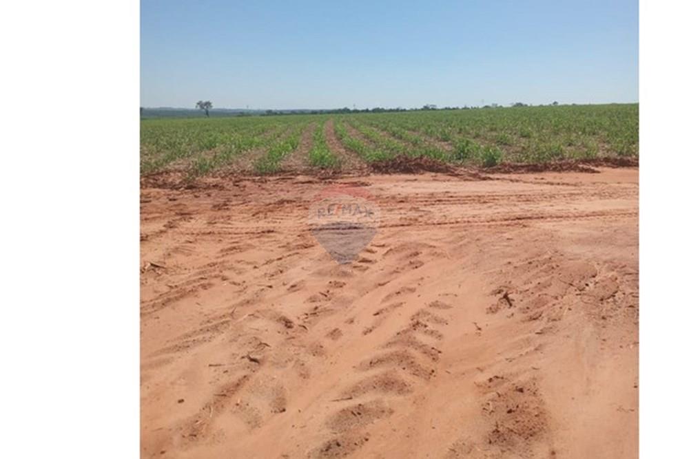 Chácara / Sítio / Fazenda - Venda - Valentim Gentil , São Paulo - WhatsApp Image 2024-11-17 at 09.37.11 (1).jpeg - 630541038-19