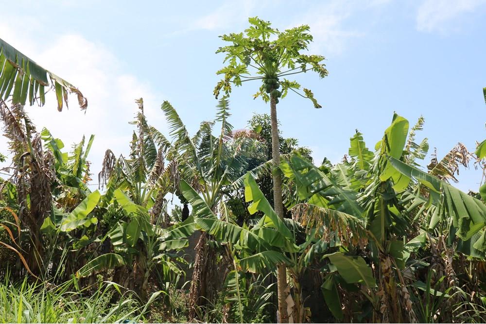 Terreno - Venda - Armação dos Búzios , Rio de Janeiro - IMG_3607.JPG - 630391002-125
