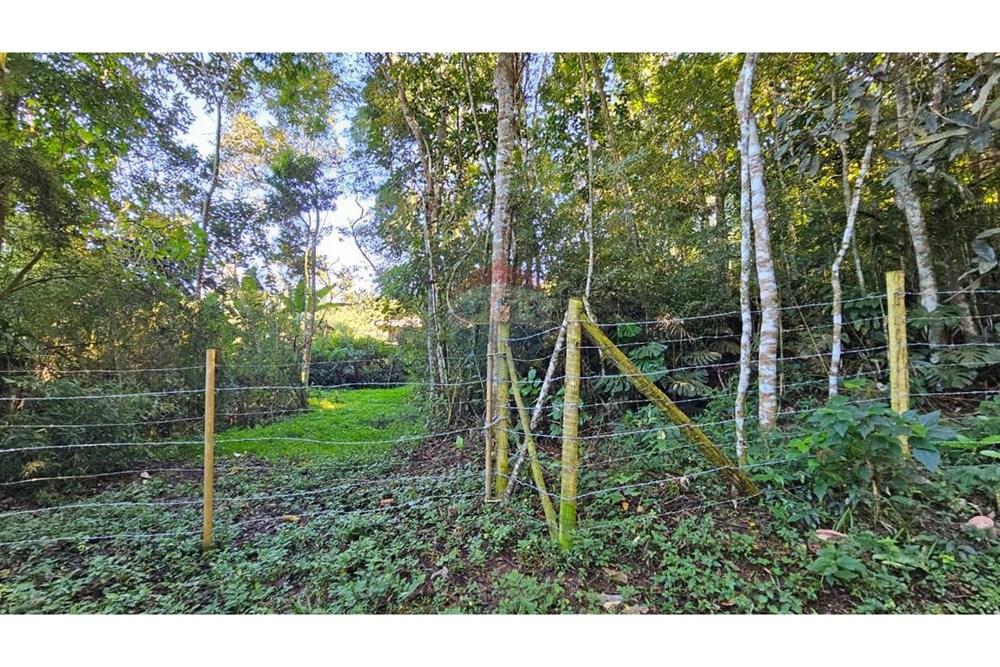 Terreno - Venda - Teresópolis , Rio de Janeiro - WhatsApp Image 2023-07-10 at 13.48.12.jpeg - 630191096-4