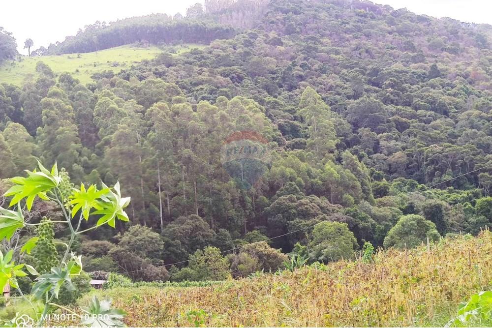 Chácara / Sítio / Fazenda - Venda - Toledo , Minas Gerais - WhatsApp Image 2025-02-28 at 19.59.31.jpeg - 630251077-56