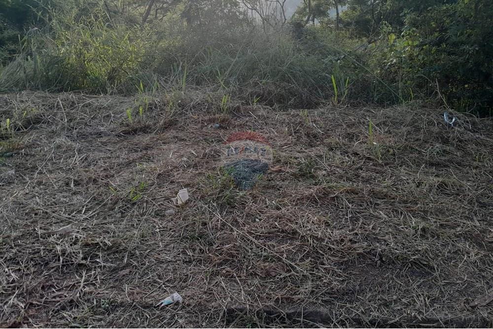 Terreno - Venda - Bom Jardim , Rio de Janeiro - WhatsApp Image 2025-08-21 at 10.21.30.jpeg - 630171008-25