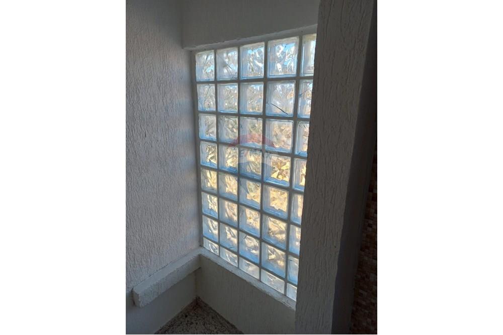 Casa Comercial - Venda - São Paulo , São Paulo - f6f7e495-713d-458c-935e-d3a778c686e5.jpeg - 630251062-157