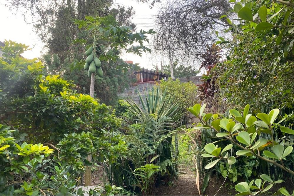 Terreno - Venda - Santo André , São Paulo - foto16.jpeg - 630821021-21