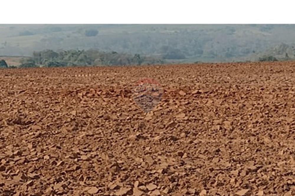 Chácara / Sítio / Fazenda - Venda - Tupã , São Paulo - WhatsApp Image 2024-10-18 at 20.43.08 (3).jpeg - 630541038-17