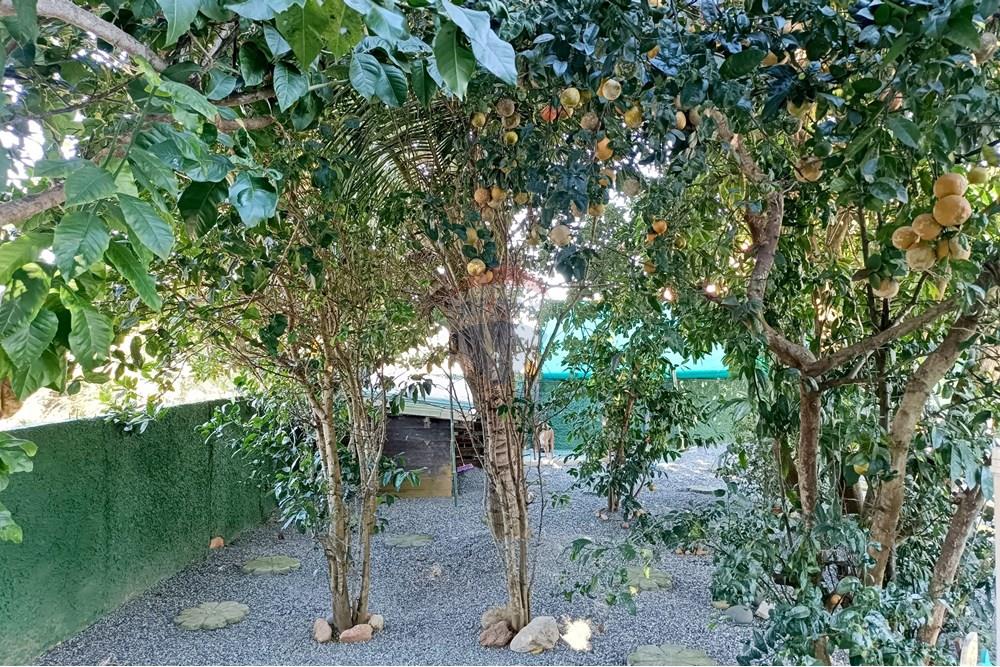 Hotel/ Pousada - Venda - Armação dos Búzios , Rio de Janeiro - IMG_20250619_235452.jpg - 630391042-25