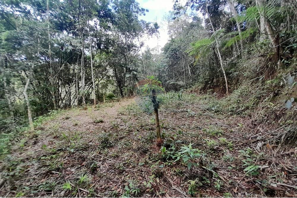 Terreno - Venda - Teresópolis , Rio de Janeiro - 20251012_092445.jpg - 630191084-20
