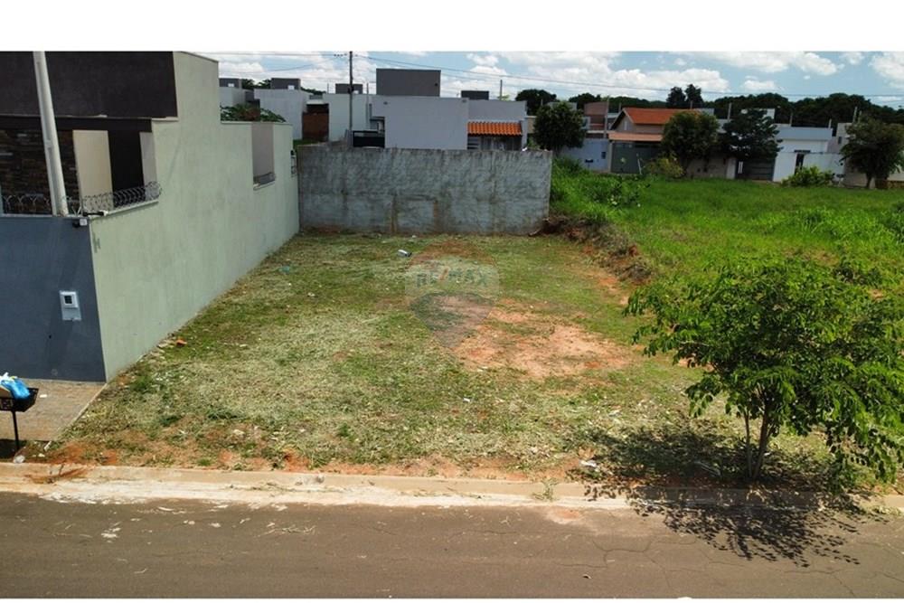 Terreno - Venda - Cedral , São Paulo - dji_fly_20241111_132322_32_1731342225528_photo_optimized - Copia.jpg - 631481001-5